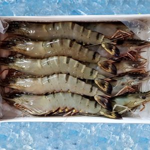 Tiger shrimp